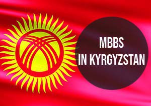 Kyrgyztan Flag